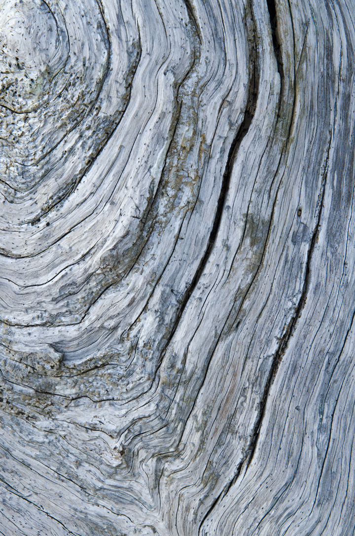 cyc_0073.jpg