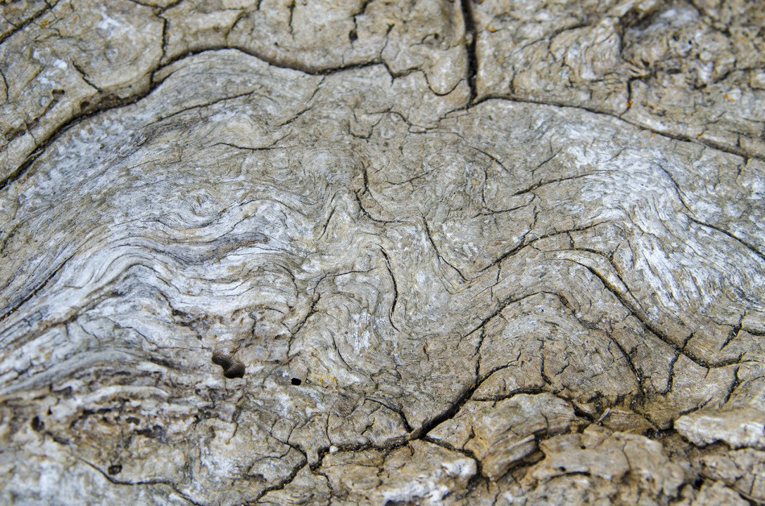 cyc_0076.jpg