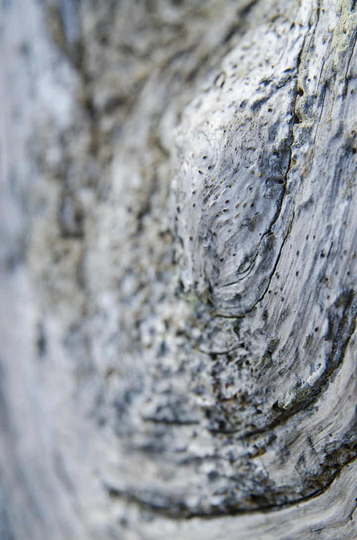 cyc_0075.jpg