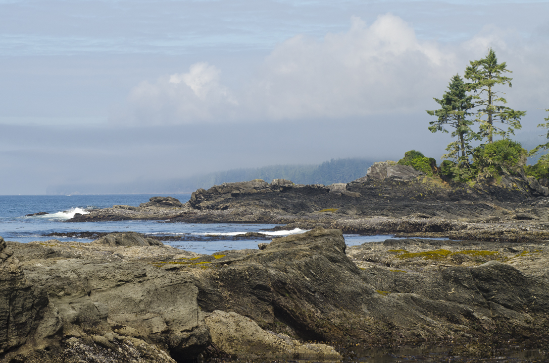 cyc_0230.jpg