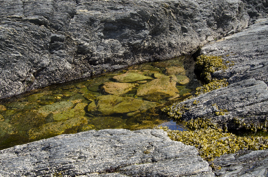 cyc_0235.jpg