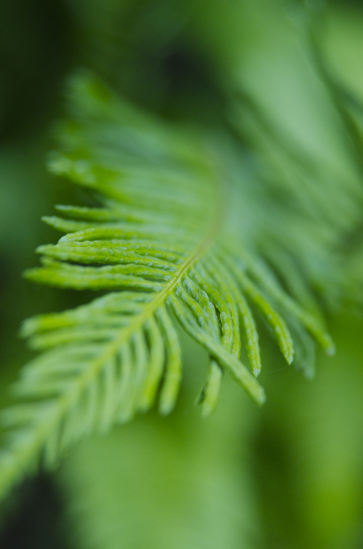 cyc_0286.jpg