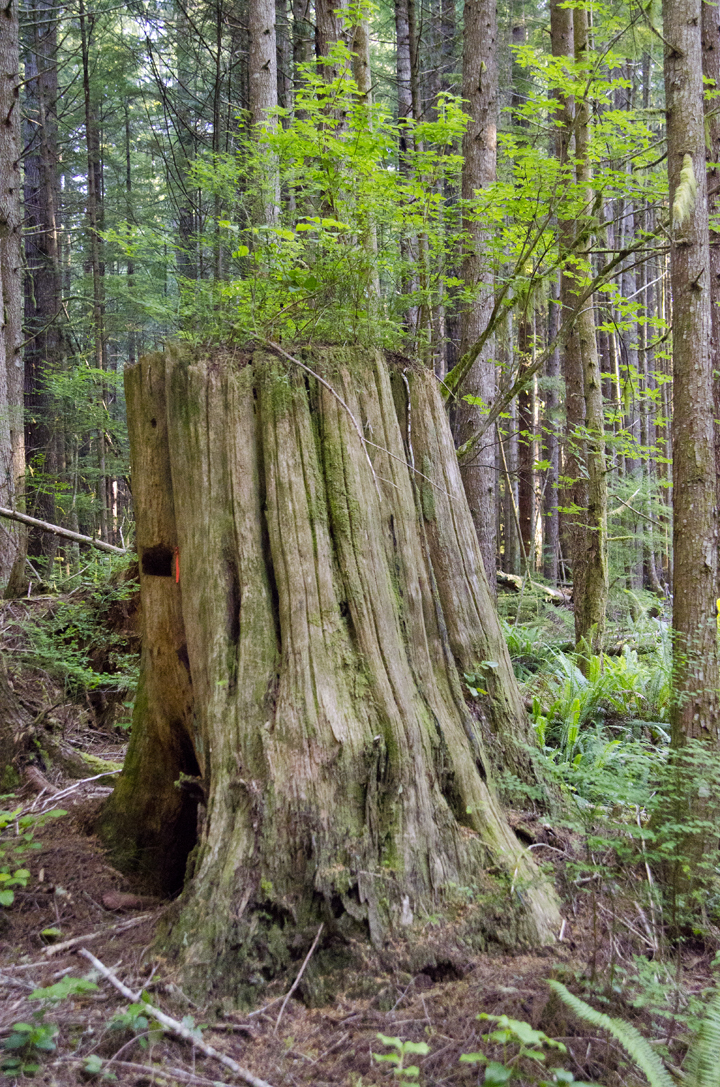cyc_0292.jpg