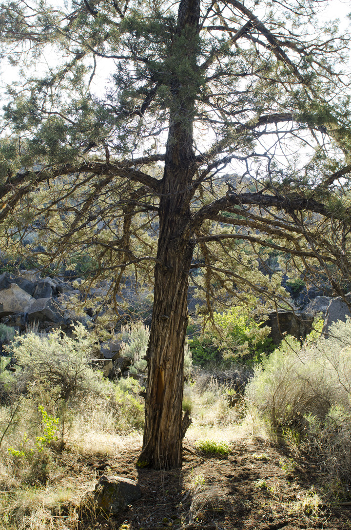 cyc_bend_190.jpg