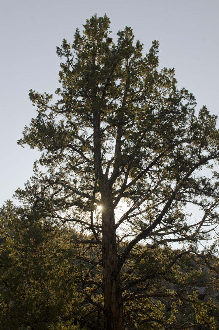 cyc_bend_189.jpg