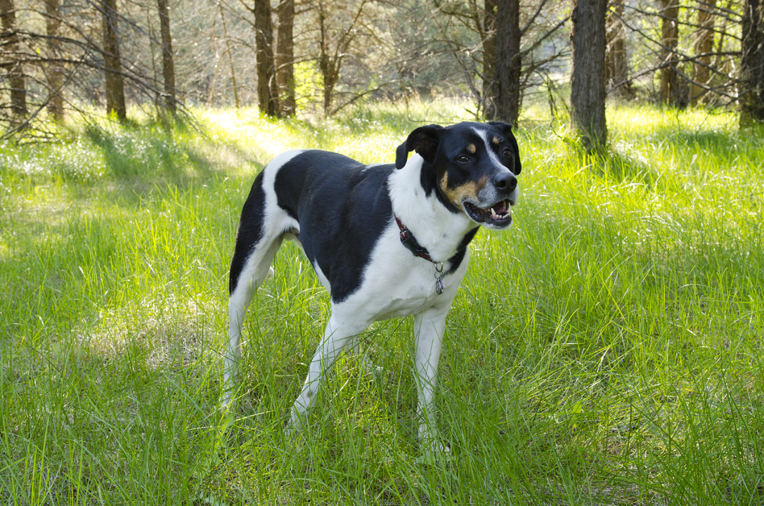 cyc_bend_184.jpg