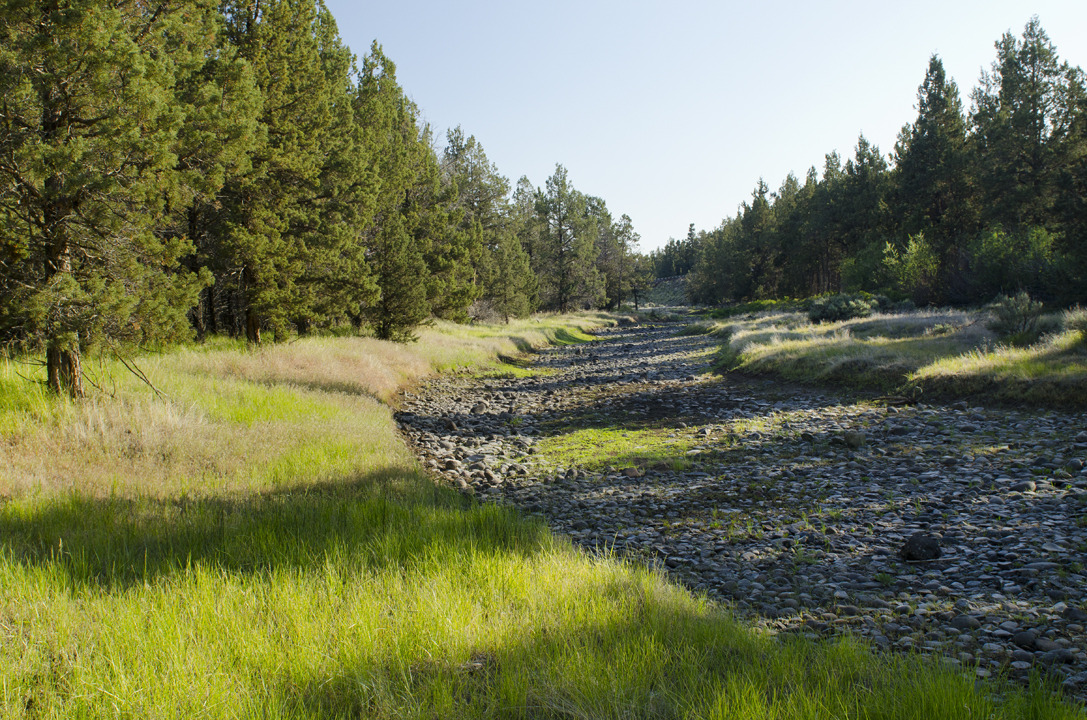 cyc_bend_183.jpg