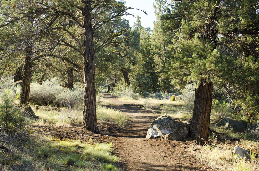 cyc_bend_188.jpg