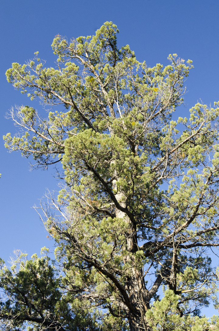 cyc_bend_187.jpg