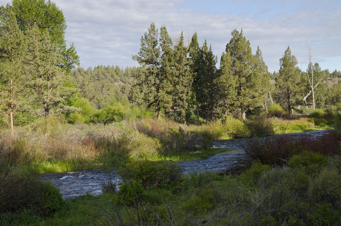 cyc_bend_181.jpg