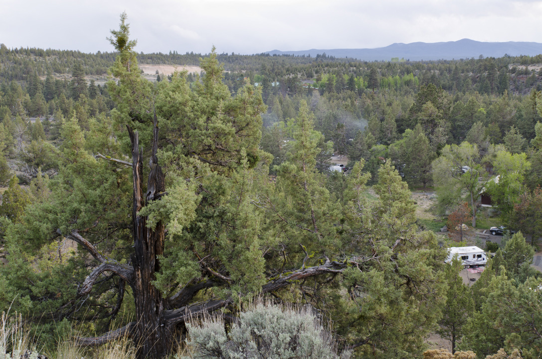 cyc_bend_112.jpg