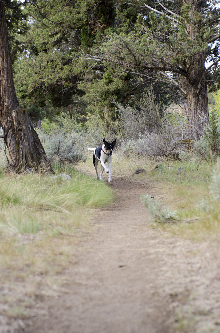 cyc_bend_115.jpg