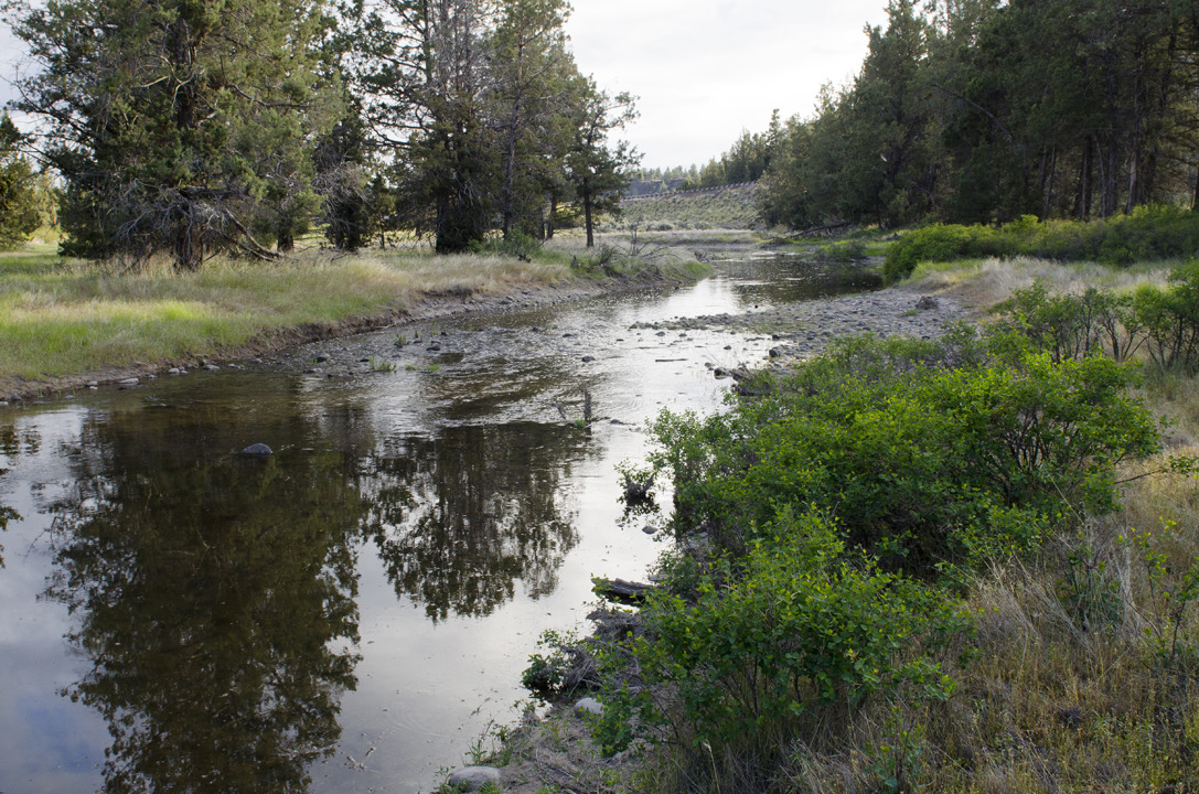 cyc_bend_117.jpg