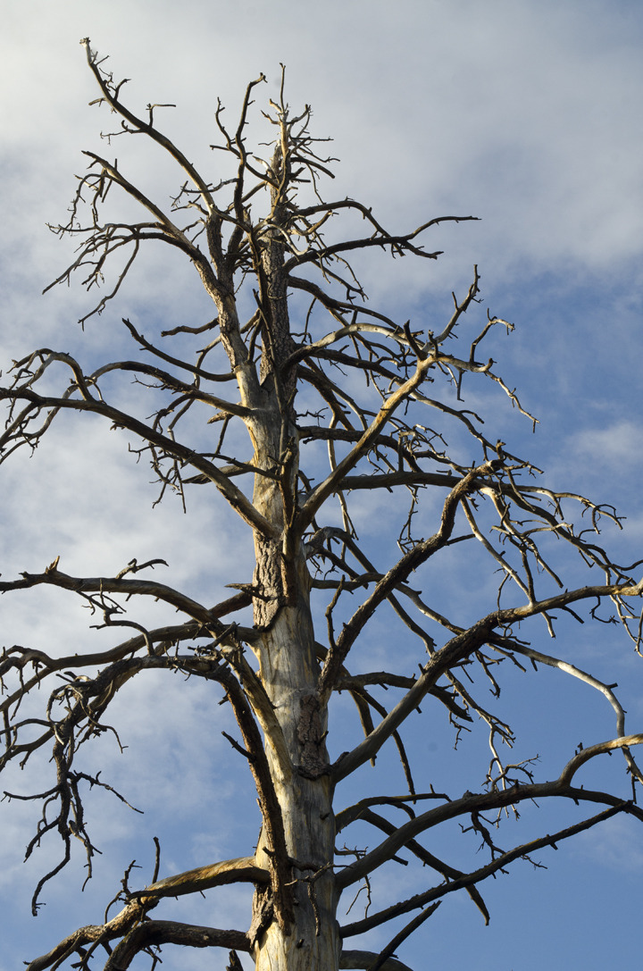cyc_bend_118.jpg