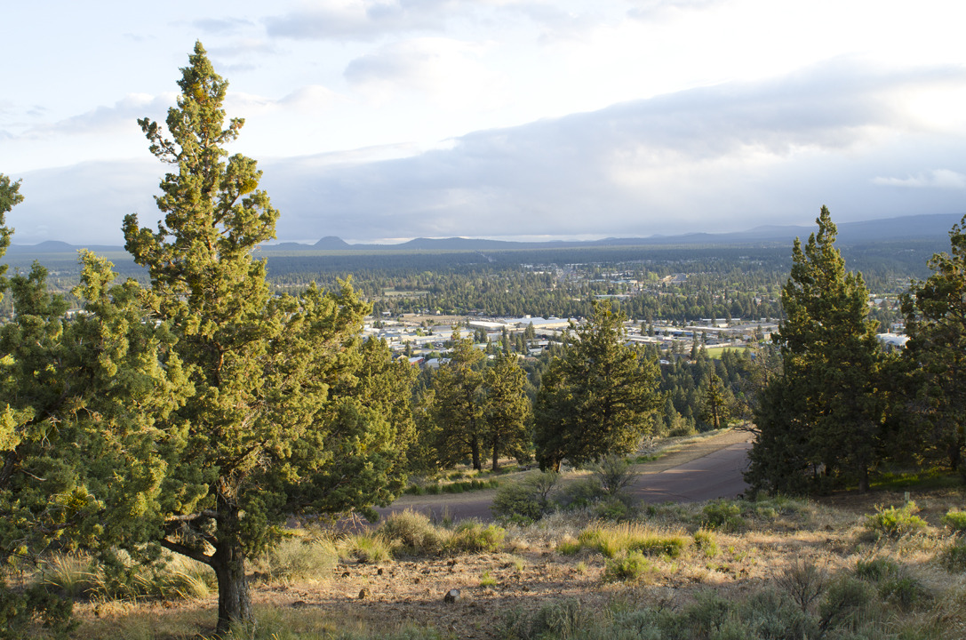 cyc_bend_106.jpg