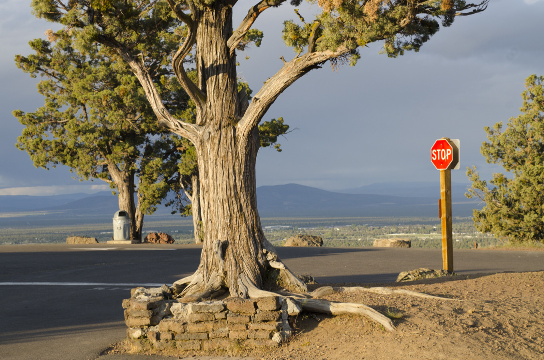 cyc_bend_107.jpg