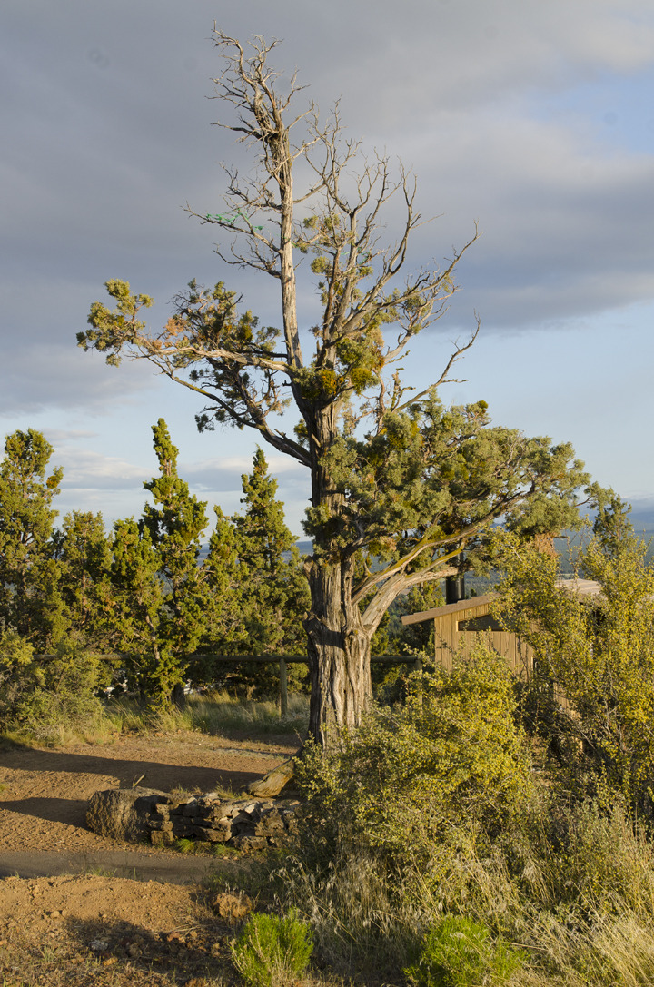 cyc_bend_105.jpg