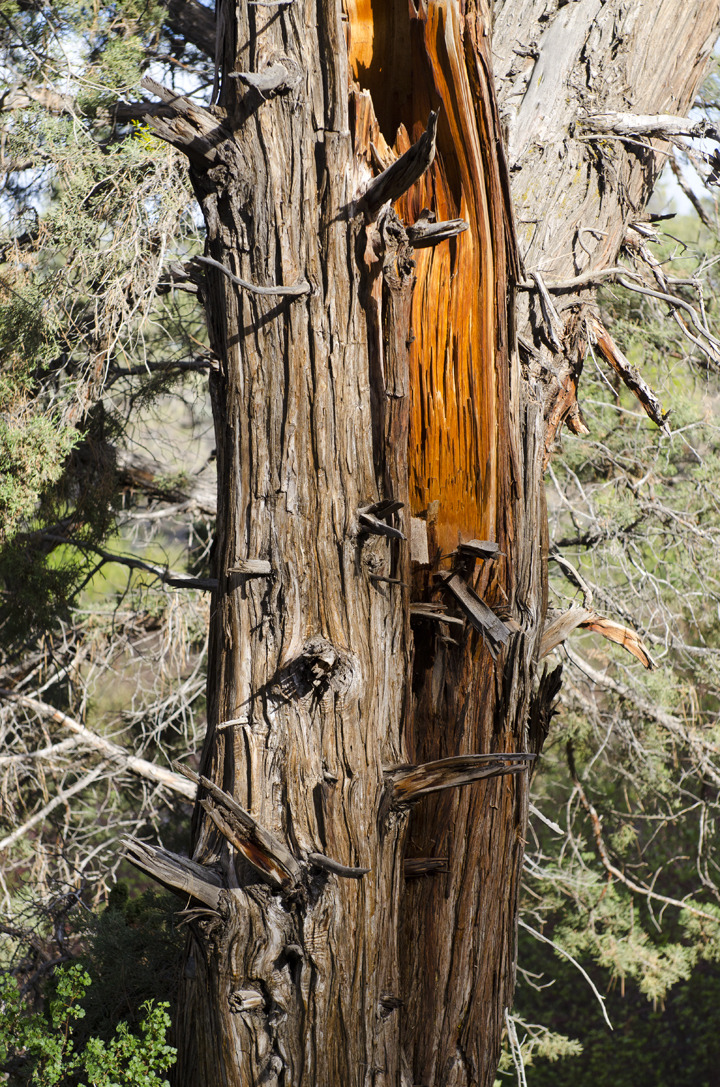 cyc_bend_120.jpg