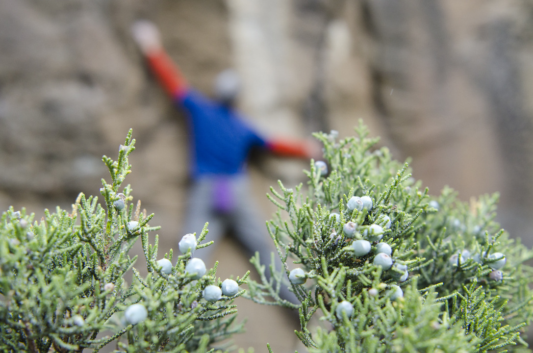 cyc_bend_076.jpg