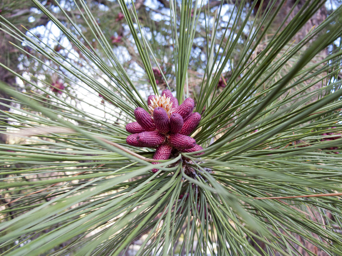 cyc_bend_071.jpg