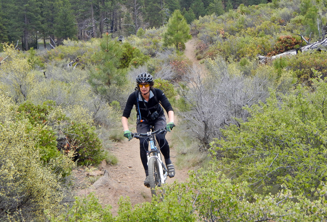 cyc_bend_066.jpg