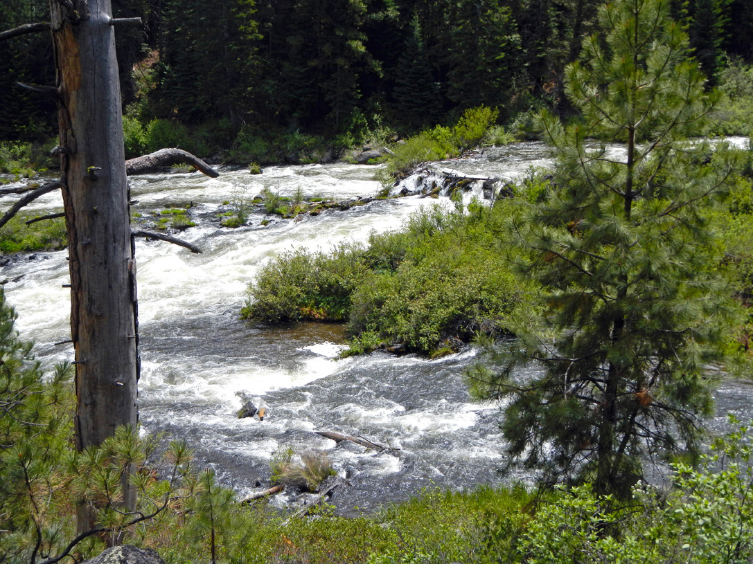 cyc_bend_061.jpg