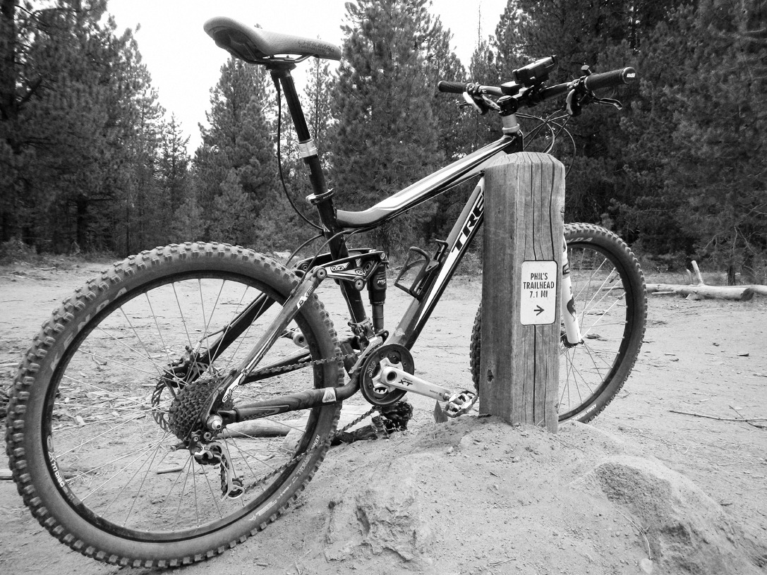 cyc_bend_039.jpg