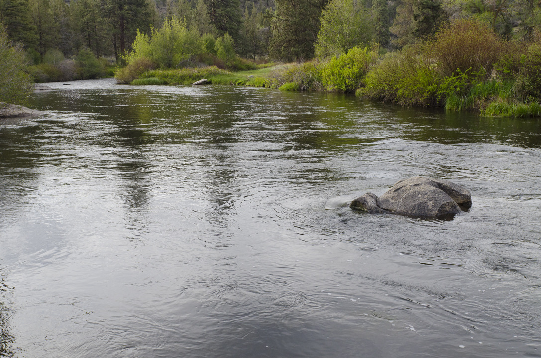 cyc_bend_014.jpg