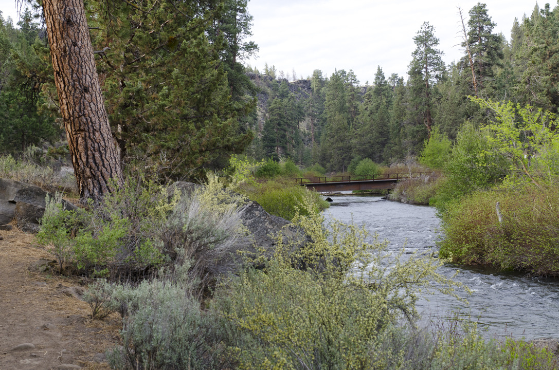 cyc_bend_016.jpg