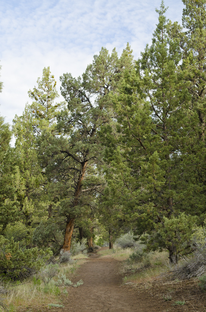 cyc_bend_176.jpg