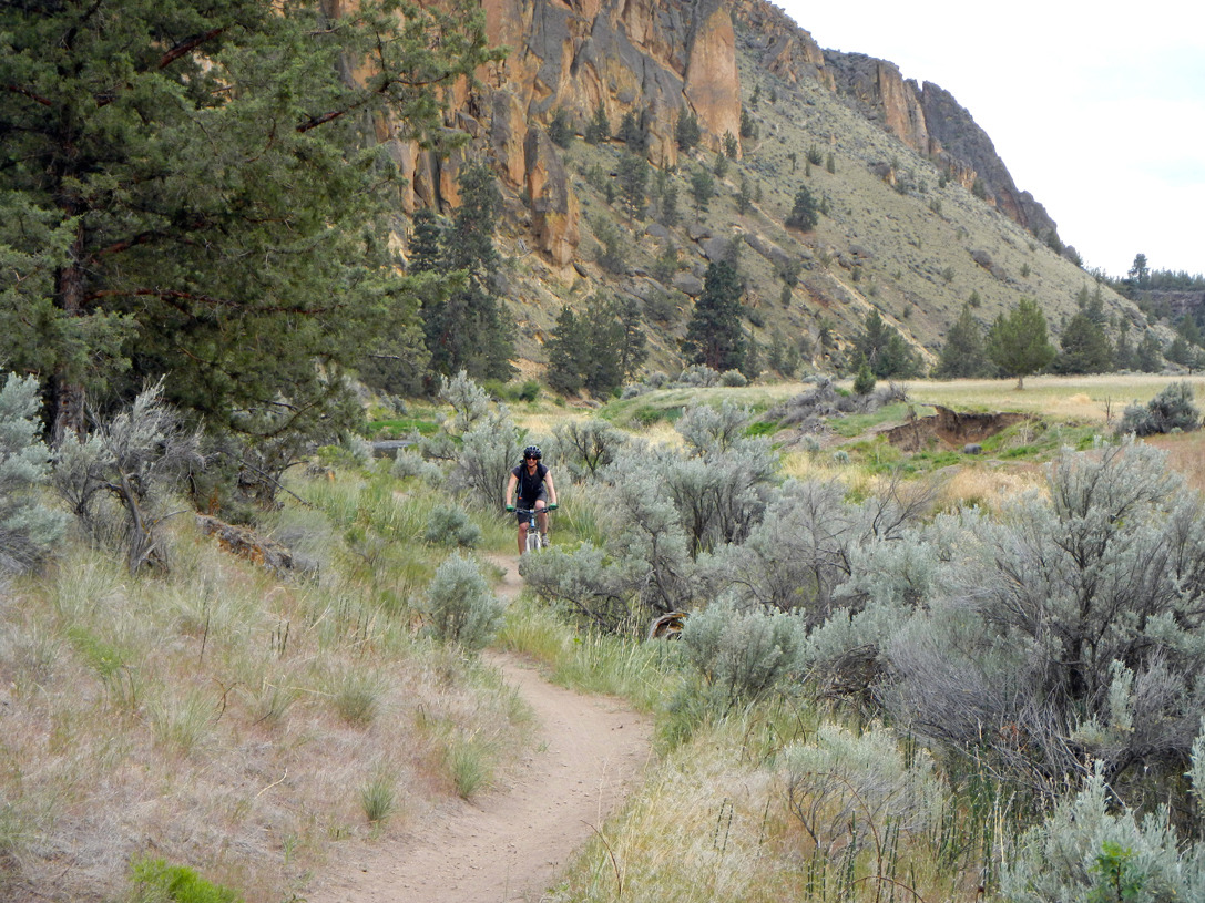 cyc_bend_024.jpg