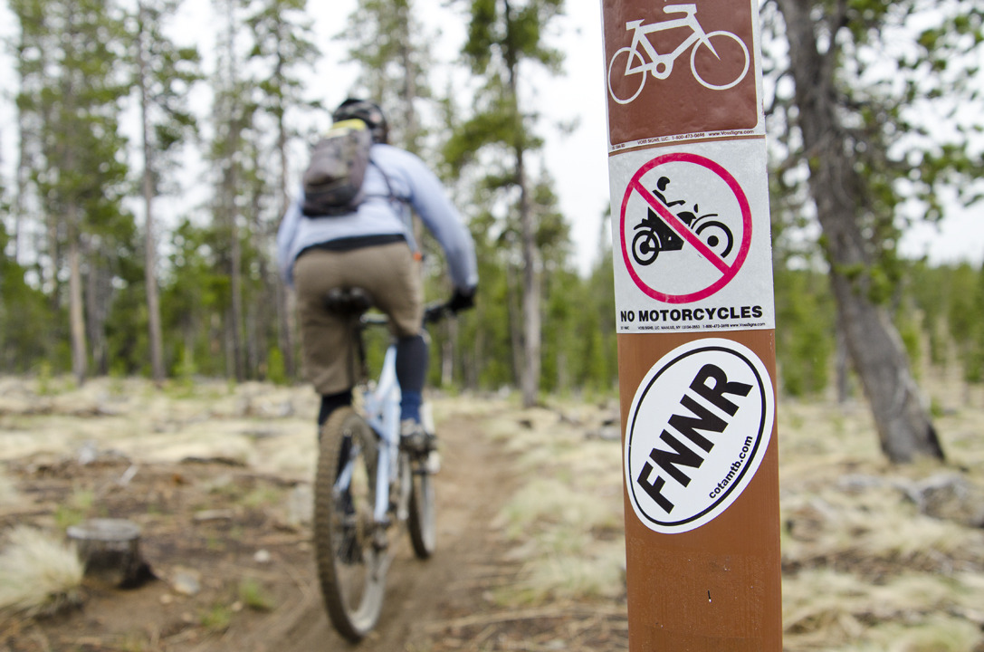cyc_bend_167.jpg