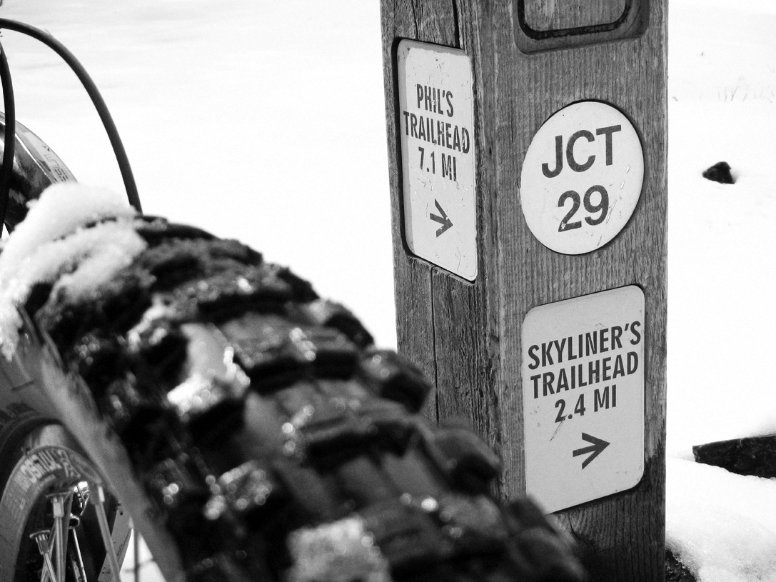 cyc_bend_170.jpg