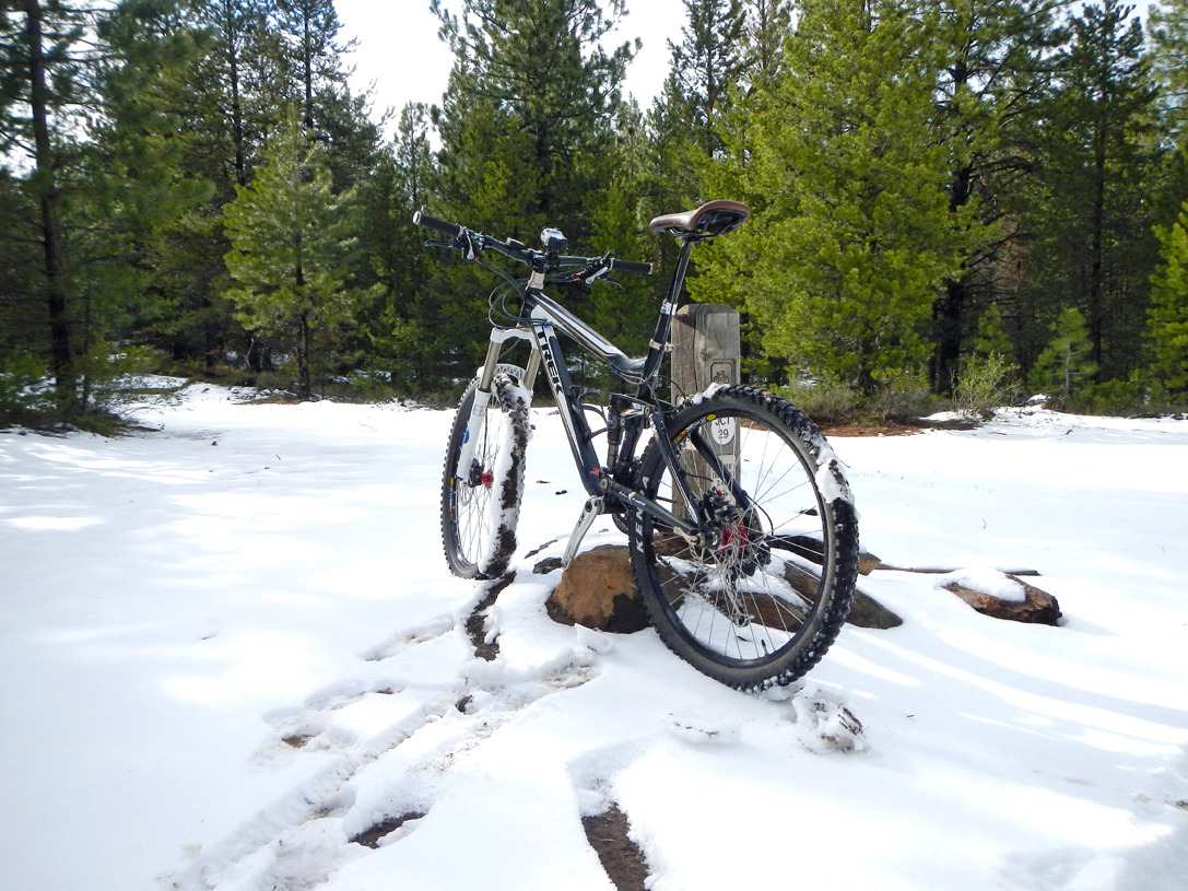 cyc_bend_169.jpg