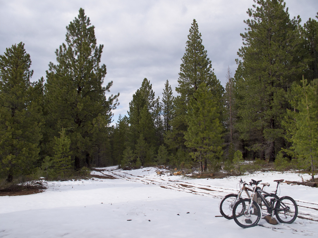 cyc_bend_171.jpg