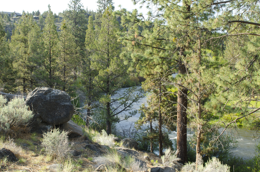 cyc_bend_053.jpg