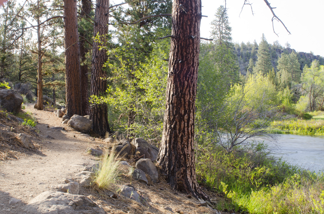 cyc_bend_050.jpg