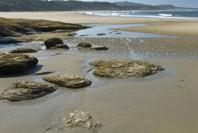 otterrock_beach.jpg