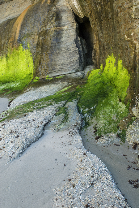 otterrock_cave.jpg