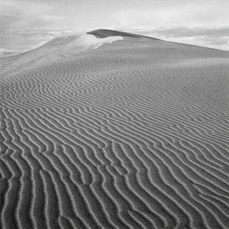 honeyman_dune.jpg