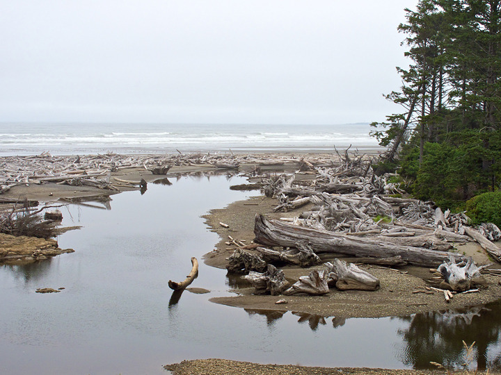 oregon_2010_013.jpg