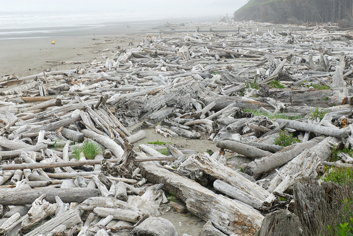 oregon_2010_014.jpg