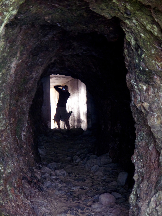 oregon_2010_076.jpg