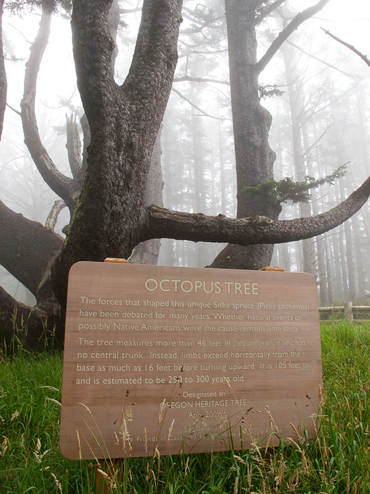 oregon_2010_080.jpg