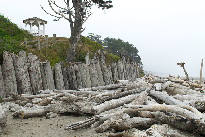 oregon_2010_017.jpg