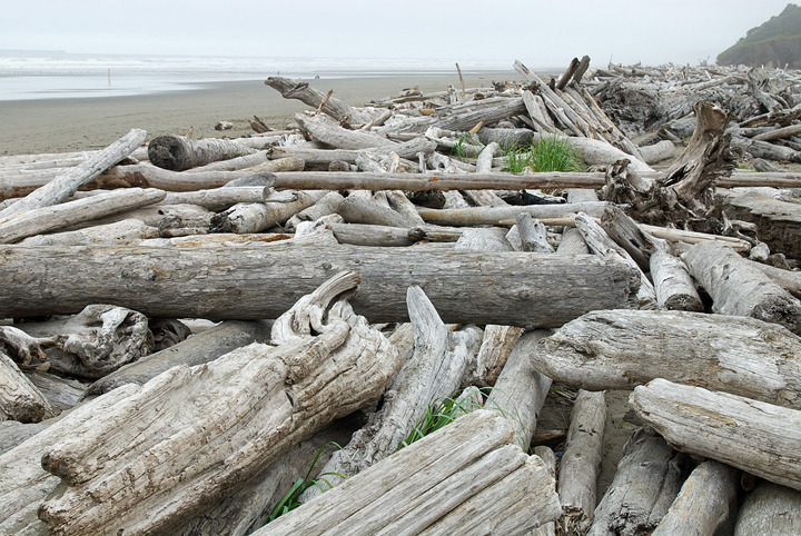 oregon_2010_016.jpg