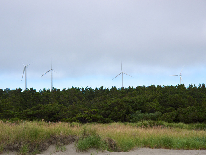 oregon_2010_024.jpg