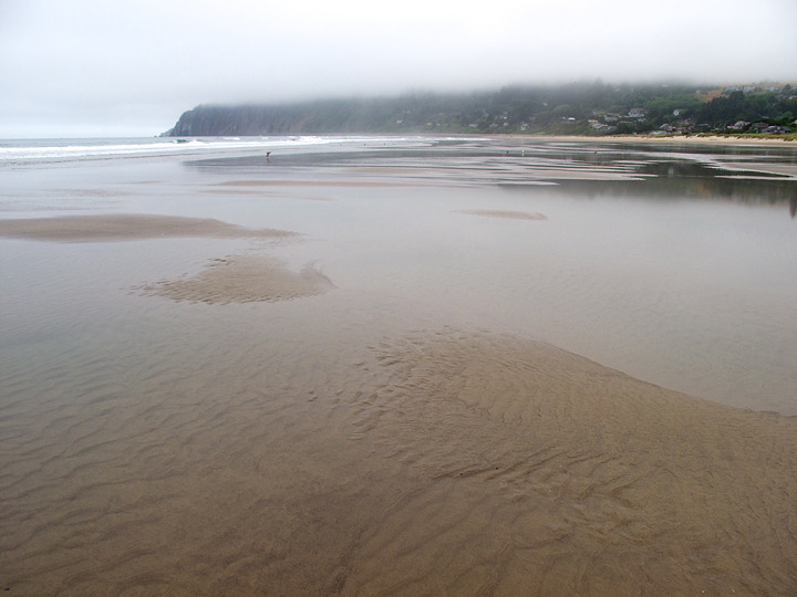 oregon_2010_085.jpg