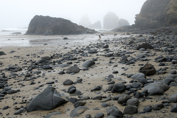 oregon_2010_063.jpg