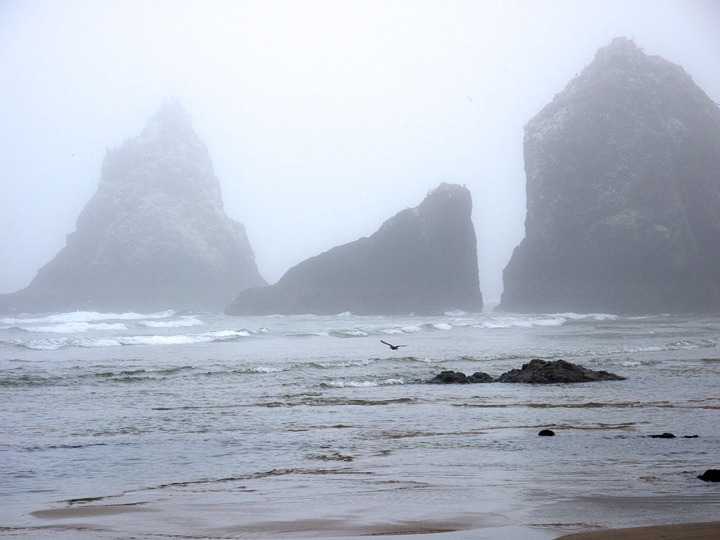 oregon_2010_070.jpg